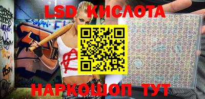 spice Камышлов