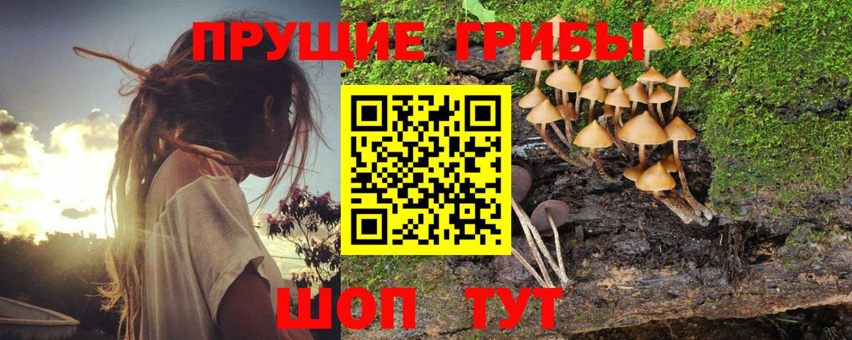Галлюциногенные грибы ЛСД Балтийск