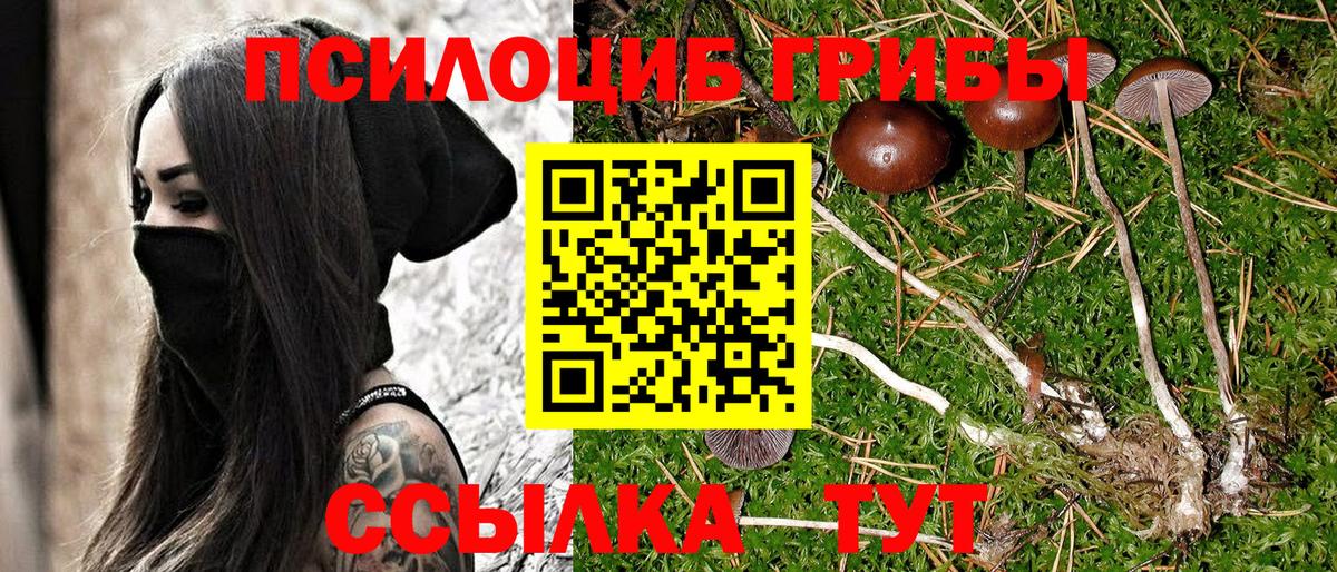 Балтийск  Галлюциногенные грибы MAGIC MUSHROOMS  Вход с VPN 