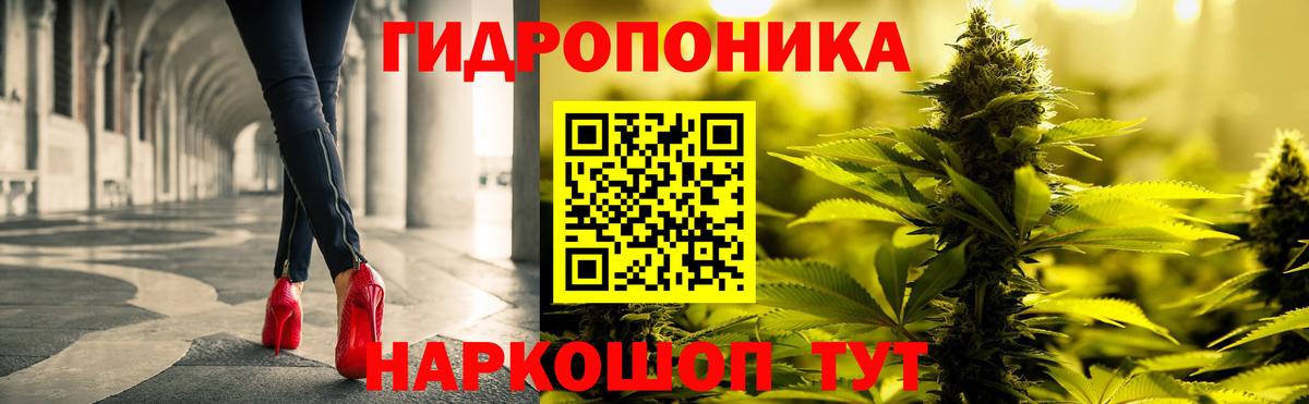 Балтийск  Шишки марихуана ГИДРОПОН  Канабис конопля  Конопля White Widow  Марихуана Ganja  Вход с VPN 